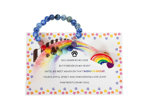 Rainbow Bridge Memorial Bracelet & Brooch Set