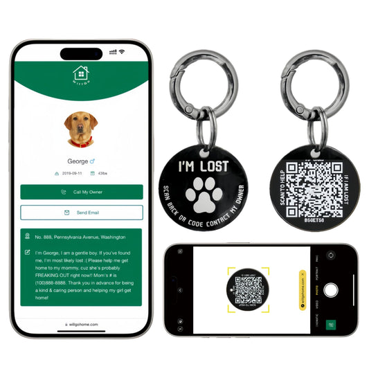 QR Code Pet ID Tag (Stainless Steel)